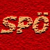 SPOe logo